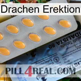 Dragon Erection 44